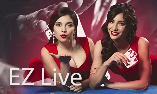 niceph Live Chat Support Icon