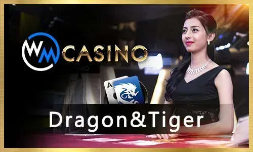 niceph Poker App on a Smartphone